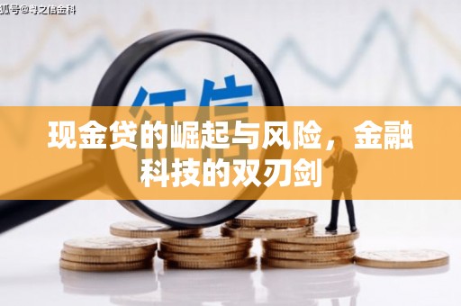 玛曲现金贷的崛起与风险，金融科技的双刃剑