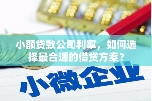 玛曲小额贷款公司利率，如何选择最合适的借贷方案？