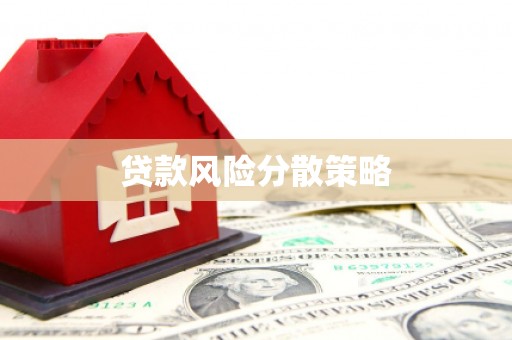 玛曲贷款风险分散策略