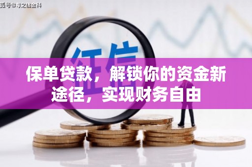 玛曲保单贷款，解锁你的资金新途径，实现财务自由