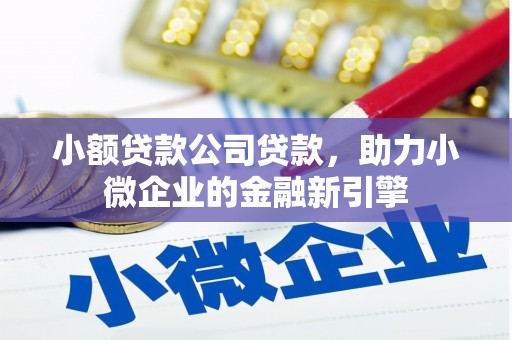 玛曲小额贷款公司贷款，助力小微企业的金融新引擎