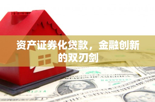 玛曲资产证券化贷款，金融创新的双刃剑