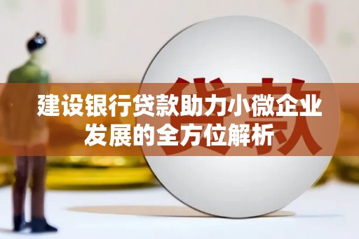 玛曲建设银行贷款助力小微企业发展的全方位解析