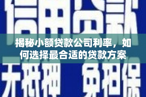玛曲揭秘小额贷款公司利率，如何选择最合适的贷款方案
