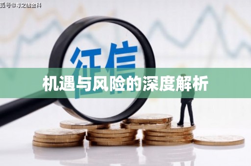 玛曲机遇与风险的深度解析