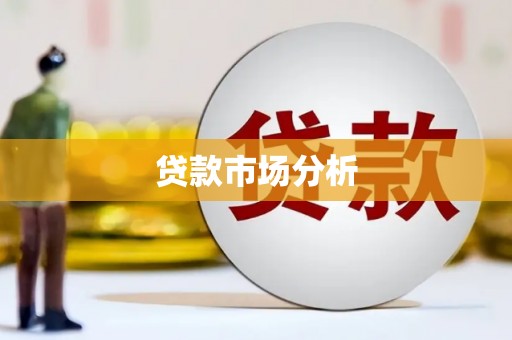 玛曲贷款市场分析