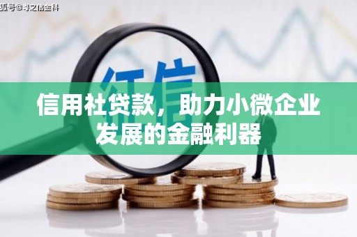 玛曲信用社贷款，助力小微企业发展的金融利器
