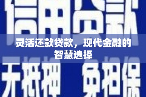 玛曲灵活还款贷款，现代金融的智慧选择