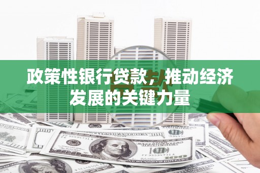 玛曲政策性银行贷款，推动经济发展的关键力量