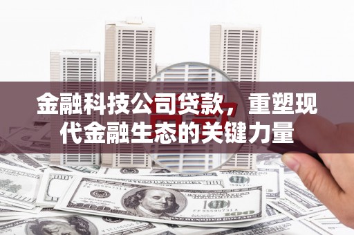 玛曲金融科技公司贷款，重塑现代金融生态的关键力量
