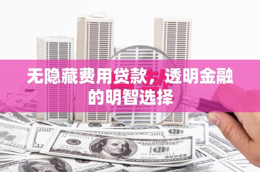 玛曲无隐藏费用贷款，透明金融的明智选择