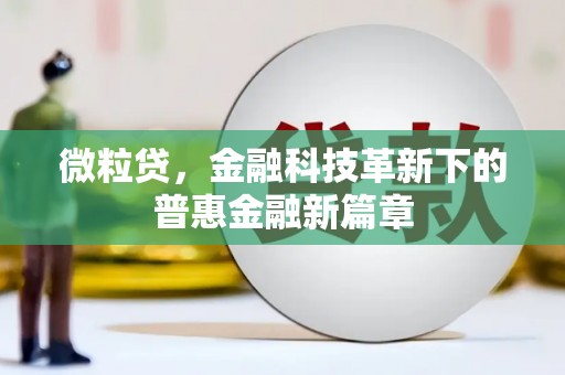 玛曲微粒贷，金融科技革新下的普惠金融新篇章