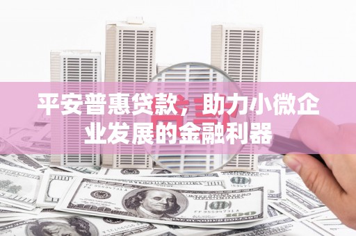 玛曲平安普惠贷款，助力小微企业发展的金融利器