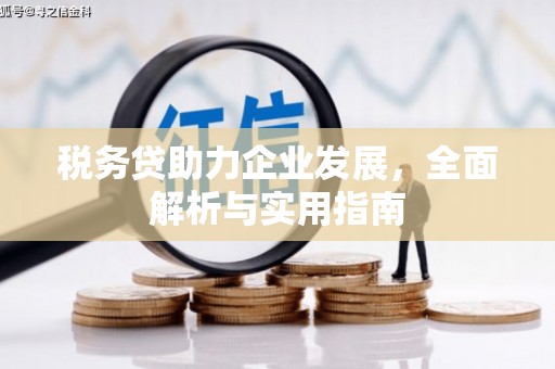 玛曲税务贷助力企业发展，全面解析与实用指南