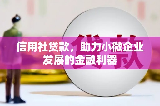 玛曲信用社贷款，助力小微企业发展的金融利器