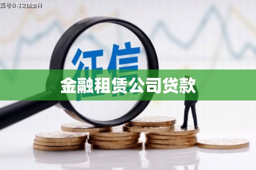 玛曲金融租赁公司贷款