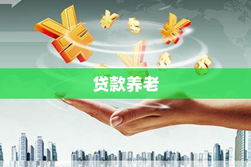 玛曲贷款养老