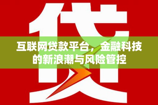 玛曲互联网贷款平台，金融科技的新浪潮与风险管控