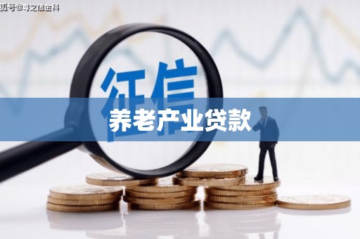玛曲养老产业贷款