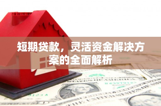 玛曲短期贷款，灵活资金解决方案的全面解析