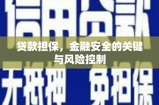 玛曲贷款担保，金融安全的关键与风险控制