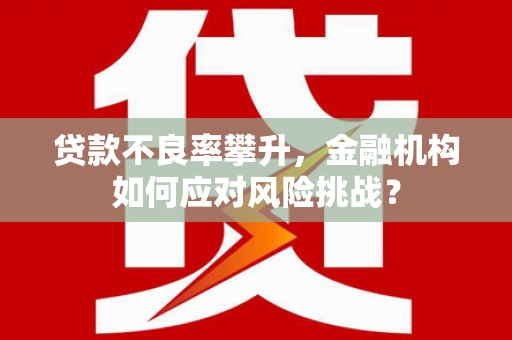 玛曲贷款不良率攀升，金融机构如何应对风险挑战？
