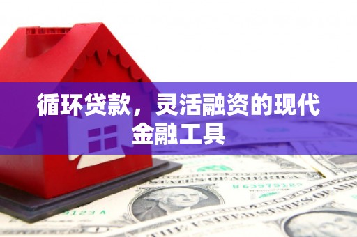 玛曲循环贷款，灵活融资的现代金融工具