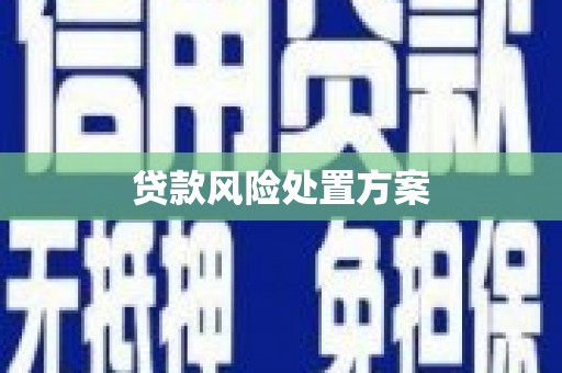 玛曲贷款风险处置方案