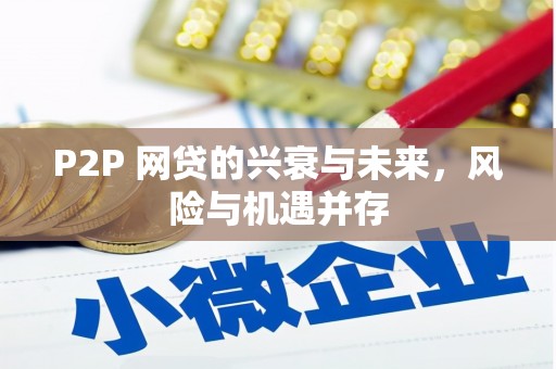 玛曲P2P 网贷的兴衰与未来，风险与机遇并存