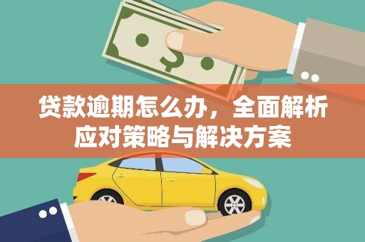 玛曲贷款逾期怎么办，全面解析应对策略与解决方案