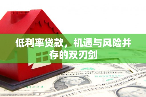 玛曲低利率贷款，机遇与风险并存的双刃剑