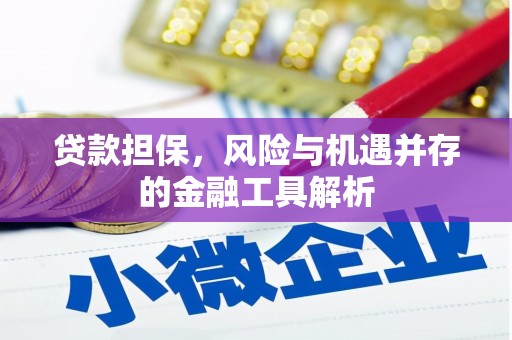 玛曲贷款担保，风险与机遇并存的金融工具解析