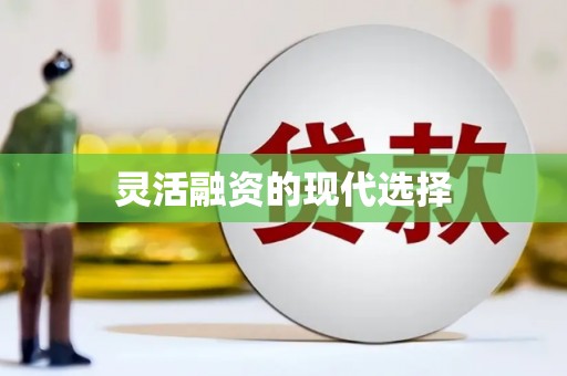 玛曲灵活融资的现代选择