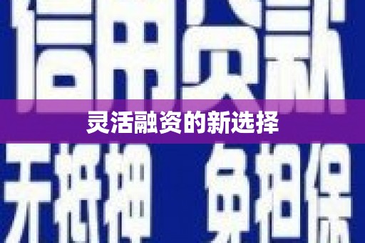 玛曲灵活融资的新选择