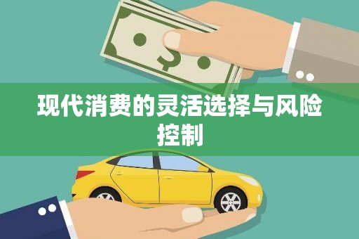 玛曲现代消费的灵活选择与风险控制
