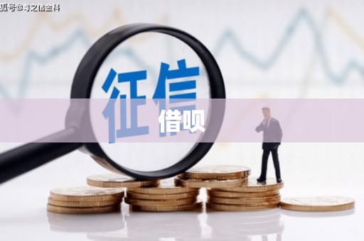 玛曲借呗