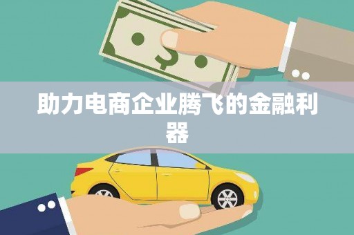 玛曲助力电商企业腾飞的金融利器