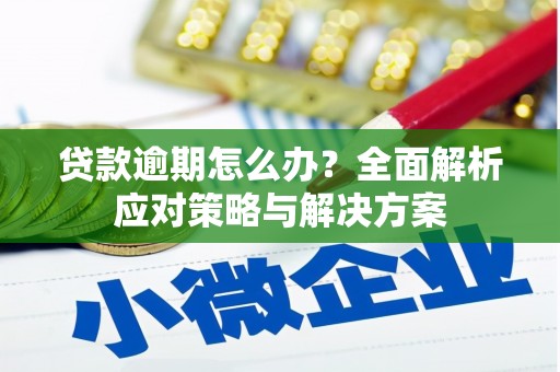 玛曲贷款逾期怎么办？全面解析应对策略与解决方案