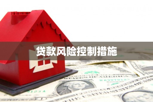 玛曲贷款风险控制措施