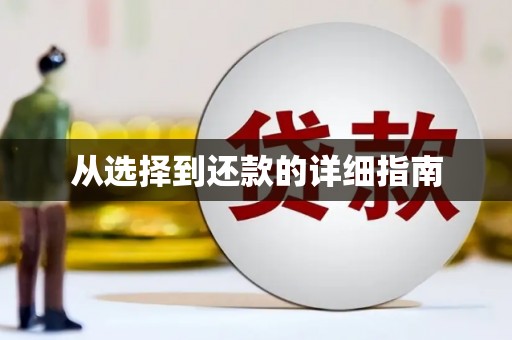 玛曲从选择到还款的详细指南