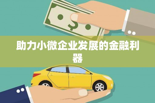 玛曲助力小微企业发展的金融利器