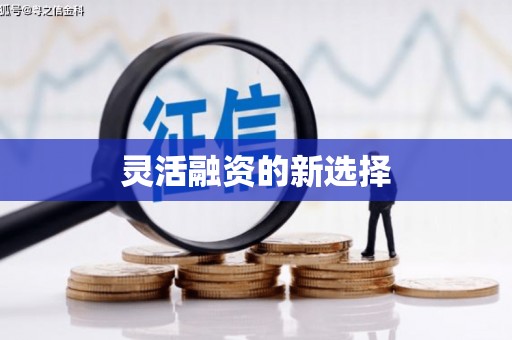 玛曲灵活融资的新选择