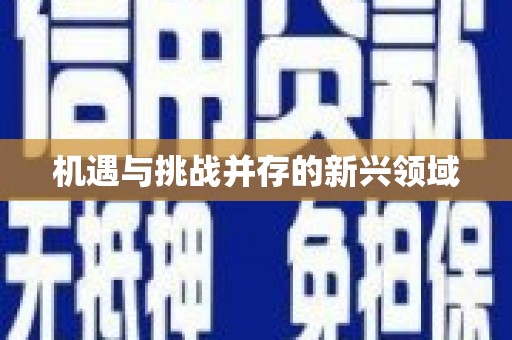 玛曲机遇与挑战并存的新兴领域