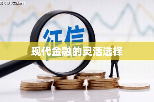 玛曲现代金融的灵活选择