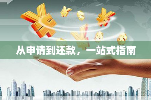 玛曲从申请到还款，一站式指南
