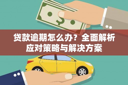 玛曲贷款逾期怎么办？全面解析应对策略与解决方案