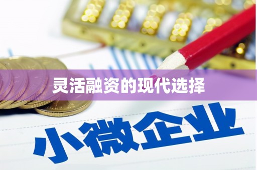 玛曲灵活融资的现代选择