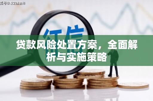 玛曲贷款风险处置方案，全面解析与实施策略