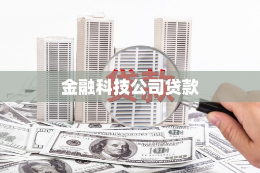 玛曲金融科技公司贷款