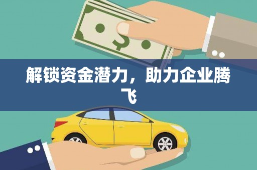 玛曲解锁资金潜力，助力企业腾飞